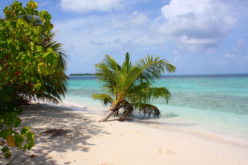 Plumeria Maldives Thinadhoo  Exterior photo